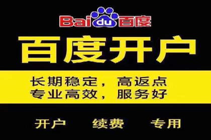 竞价代运营助力电商销量翻倍案例